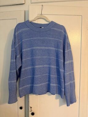 Divided Light Blue Striped Crewneck Sweater